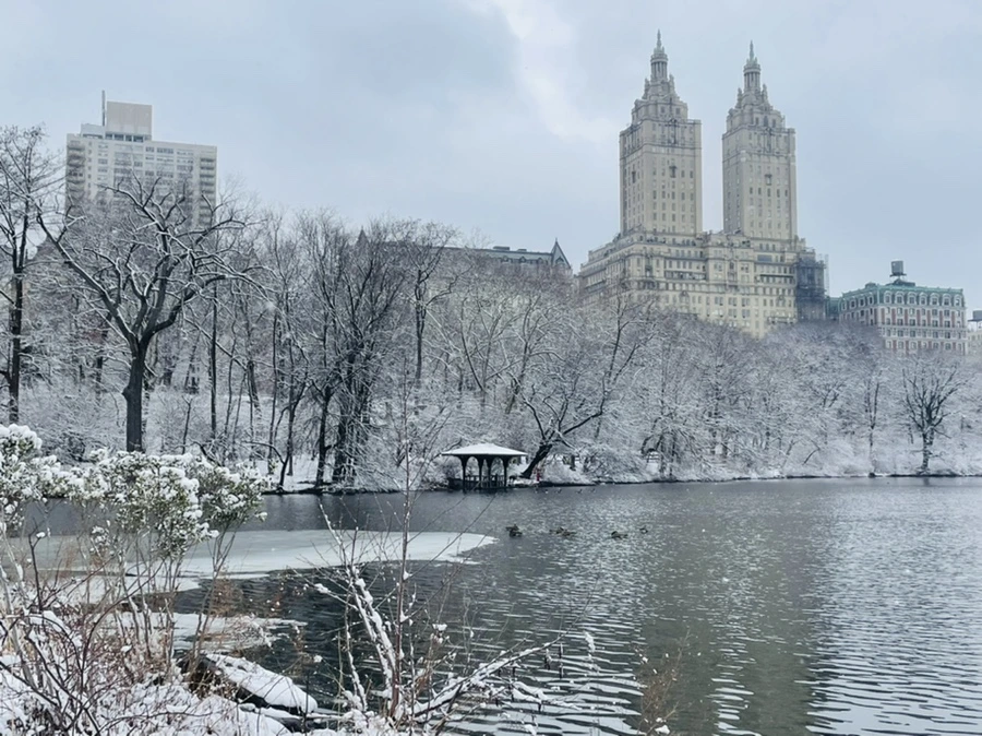 IMG_2193.jpg?type=w966