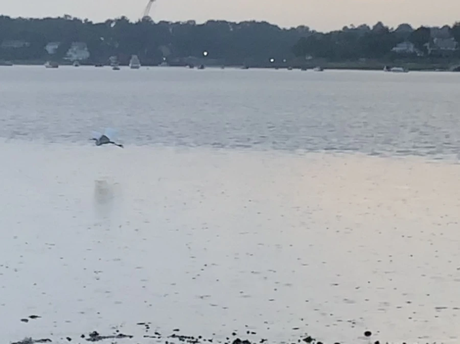 IMG_8127.jpg?type=w966