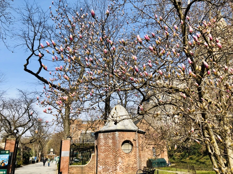 IMG_6498.jpg?type=w966