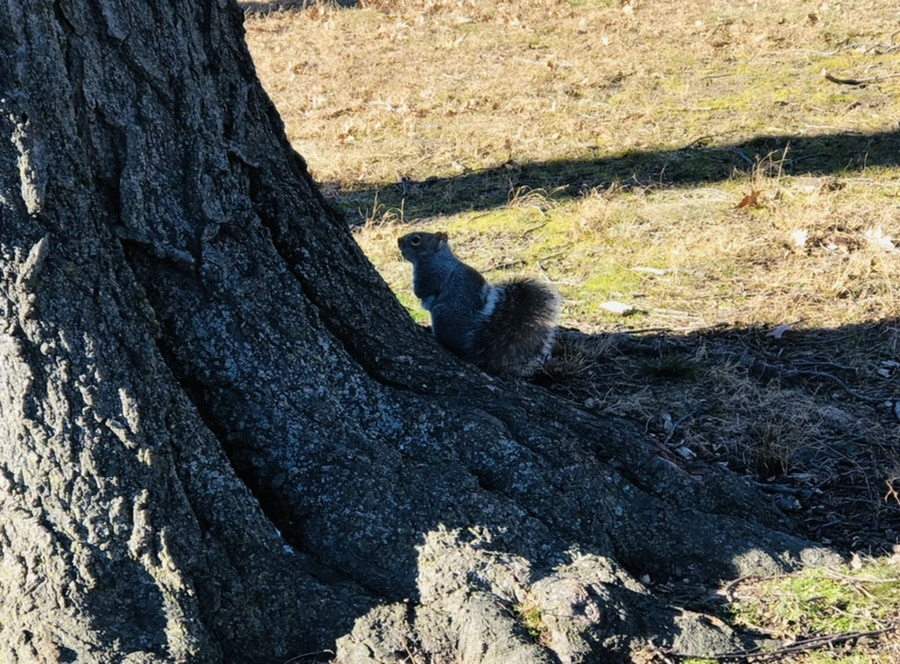 IMG_8147.jpg?type=w966