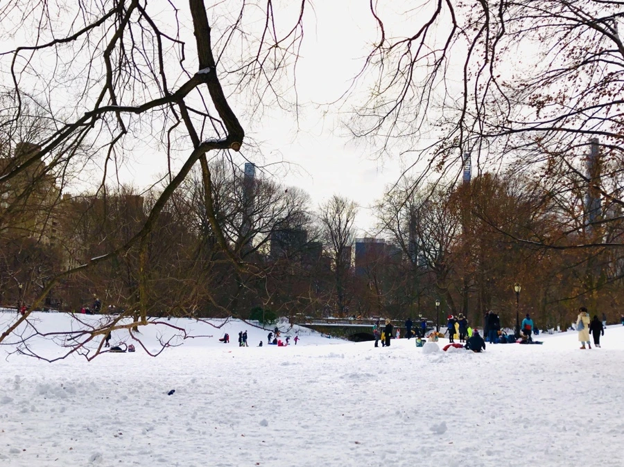 IMG_7284.jpg?type=w966