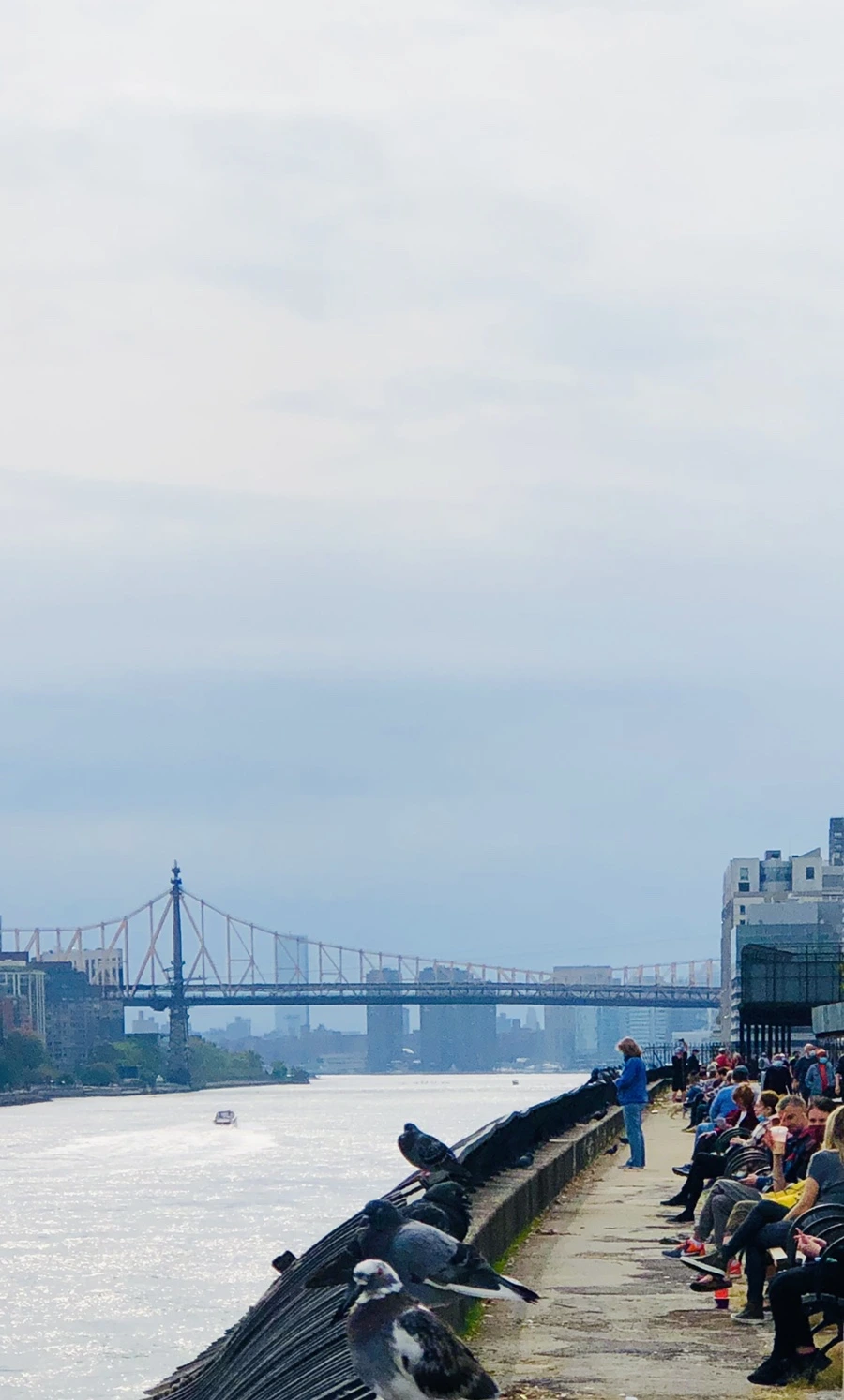 IMG_1784.jpg?type=w966