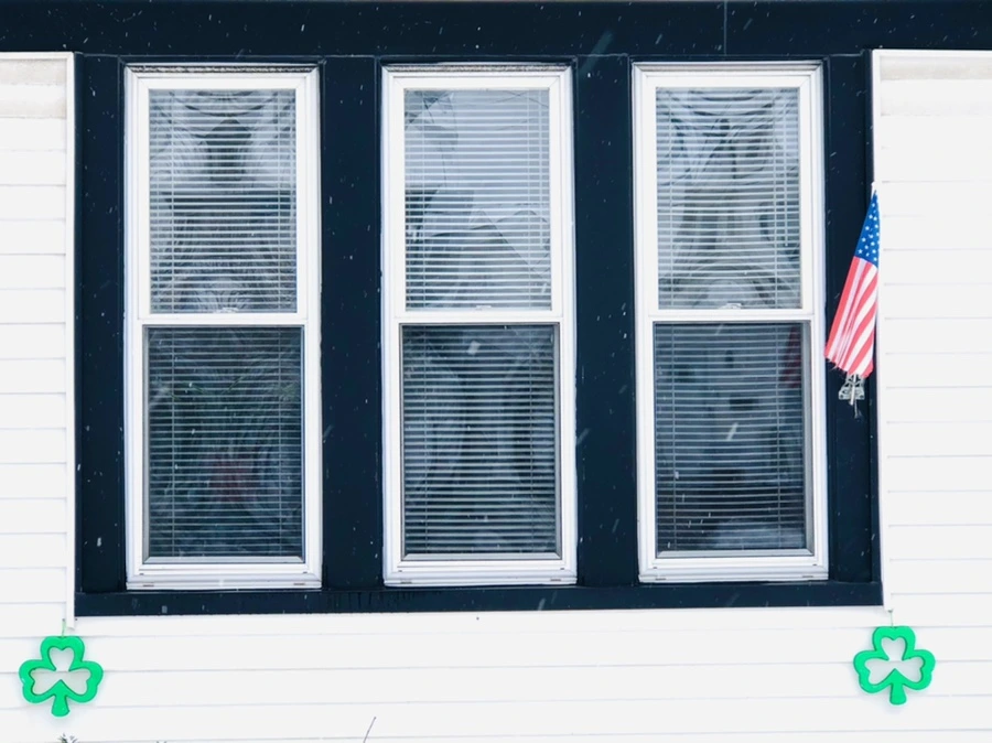 IMG_3610.jpg?type=w966