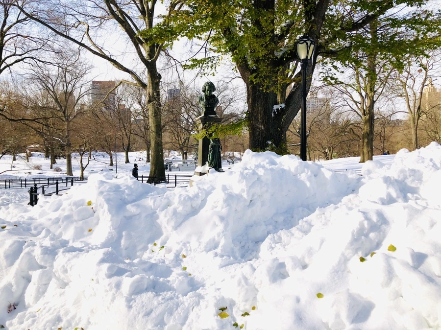 IMG_7067.jpg?type=w966