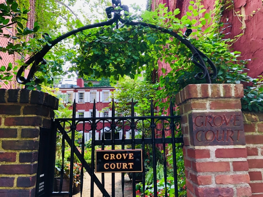 IMG_0220.jpg?type=w966