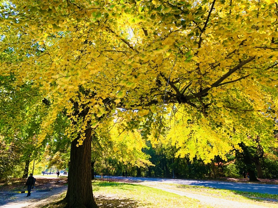 IMG_3229.jpg?type=w966