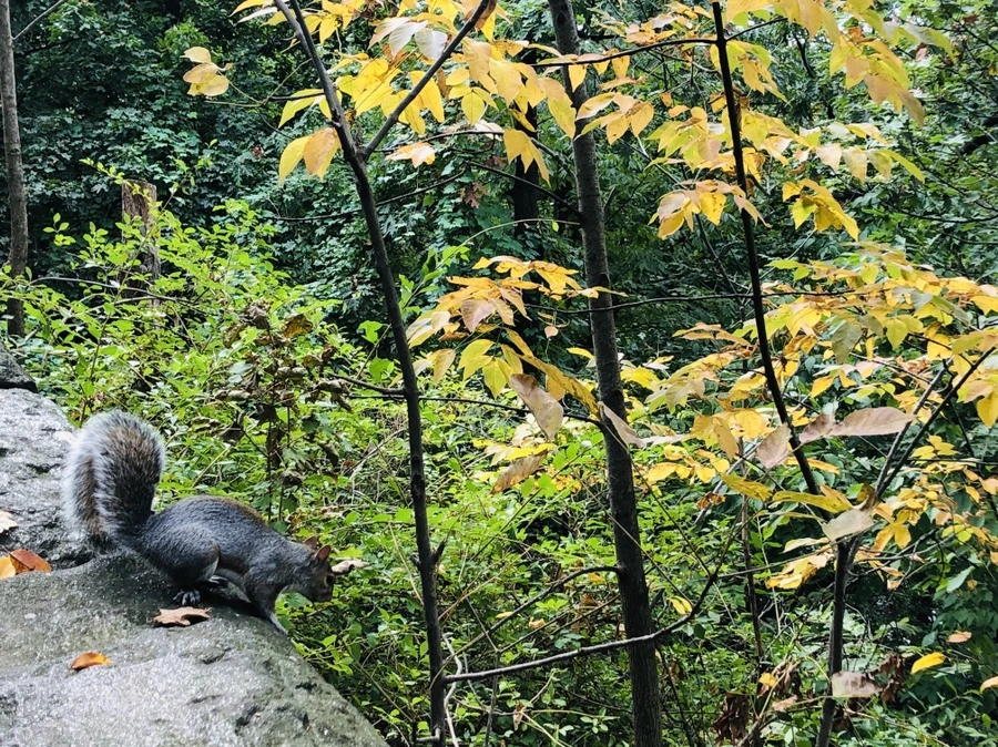 IMG_1514.jpg?type=w966