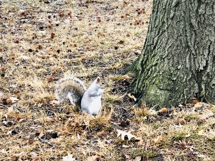 IMG_9545.jpg?type=w966