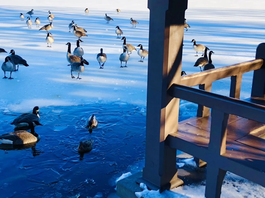 IMG_9912.jpg?type=w966