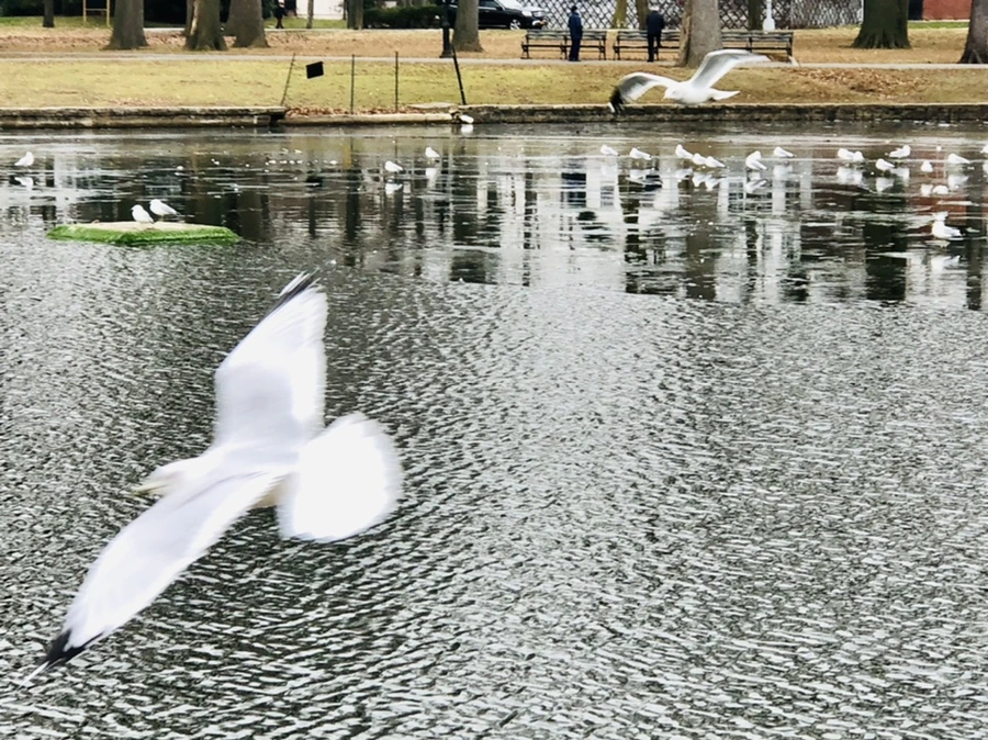 IMG_3289.jpg?type=w966