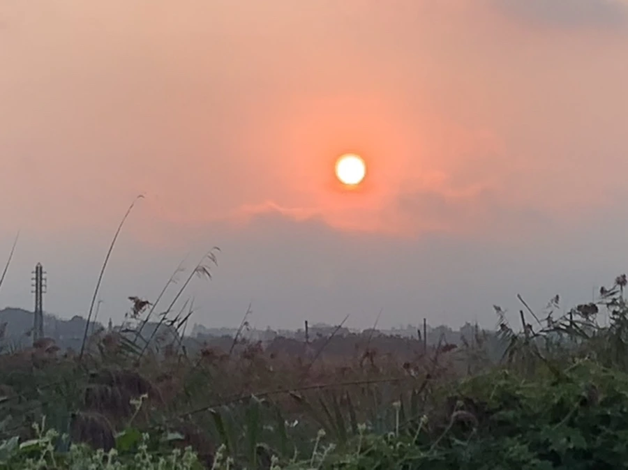 IMG_1150.jpg?type=w966