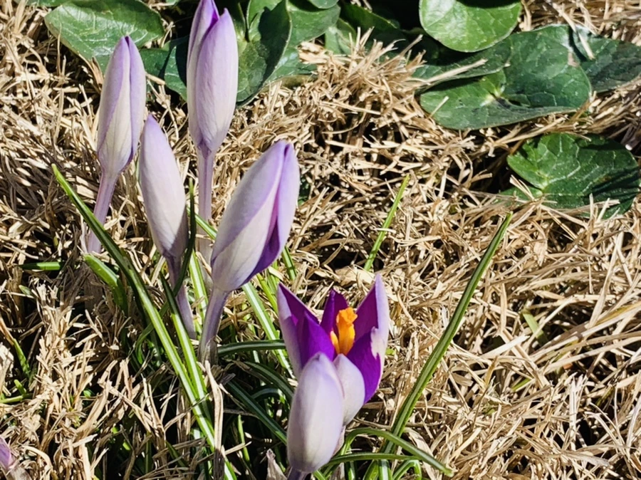 IMG_8233.jpg?type=w966