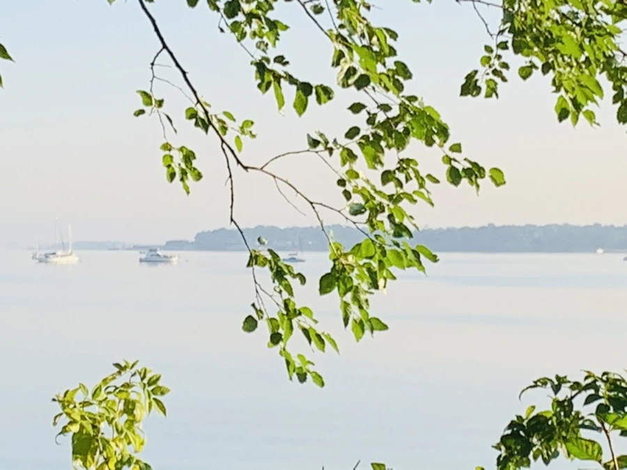 IMG_7422.jpg?type=w966