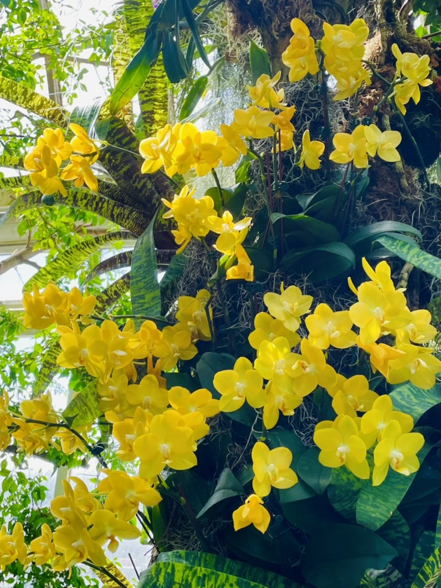 IMG_6410.jpg?type=w966