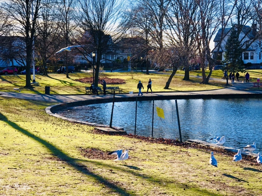 IMG_9311.jpg?type=w966