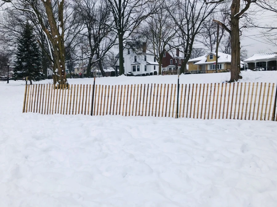 IMG_1539.jpg?type=w966