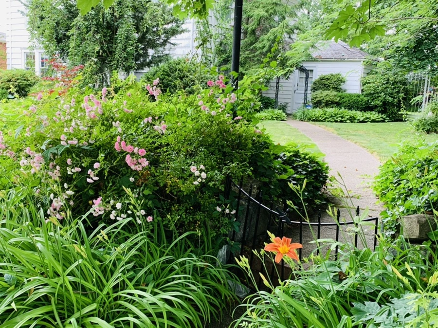 IMG_2703.jpg?type=w966