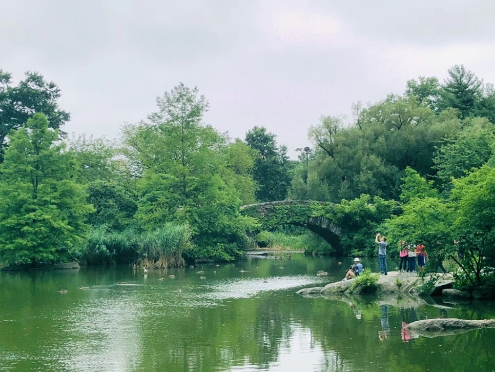 IMG_7646.jpg?type=w966