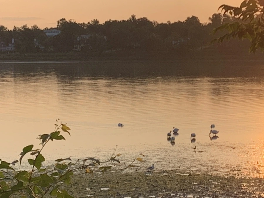 IMG_9591.jpg?type=w966