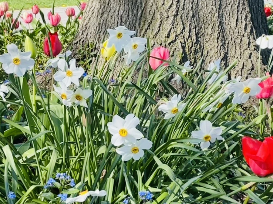 IMG_1551.jpg?type=w966