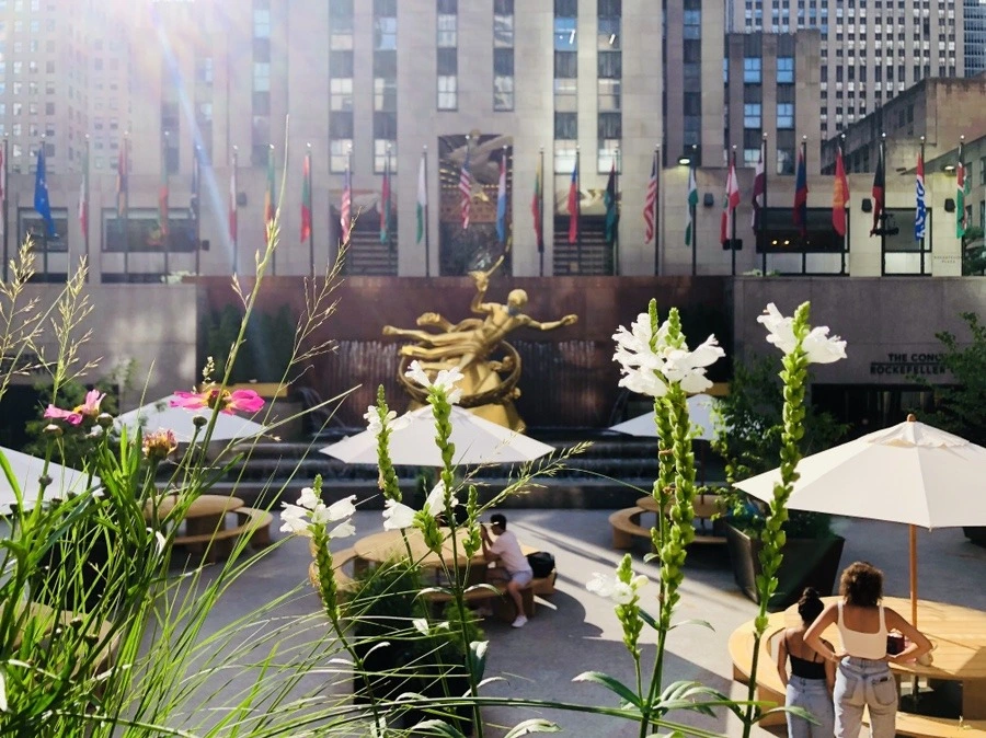 zW7egPE7mYjdezNfYeUTWmOuMfM