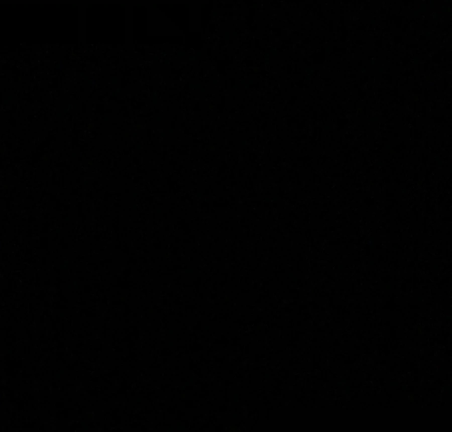 IMG_0156.jpg?type=w966