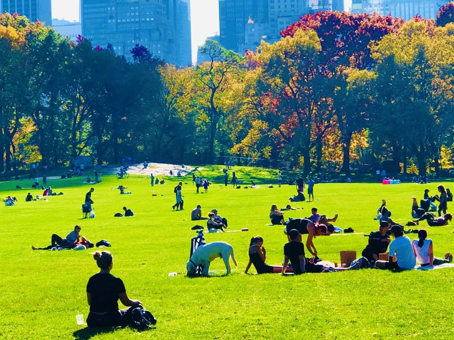 IMG_3830.jpg?type=w966