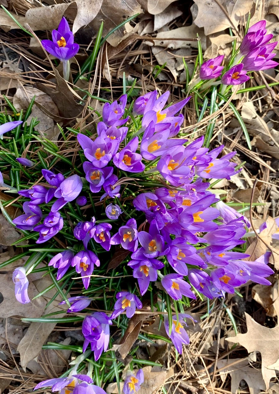 IMG_0126.jpg?type=w966