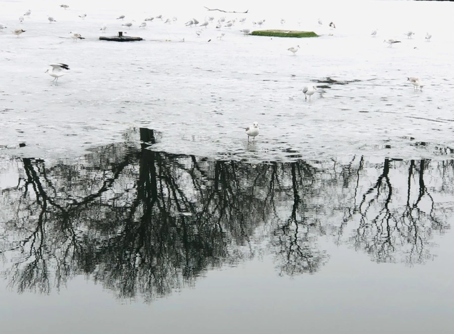 IMG_5547.jpg?type=w966