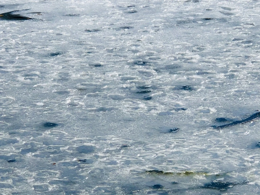 IMG_5127.jpg?type=w966