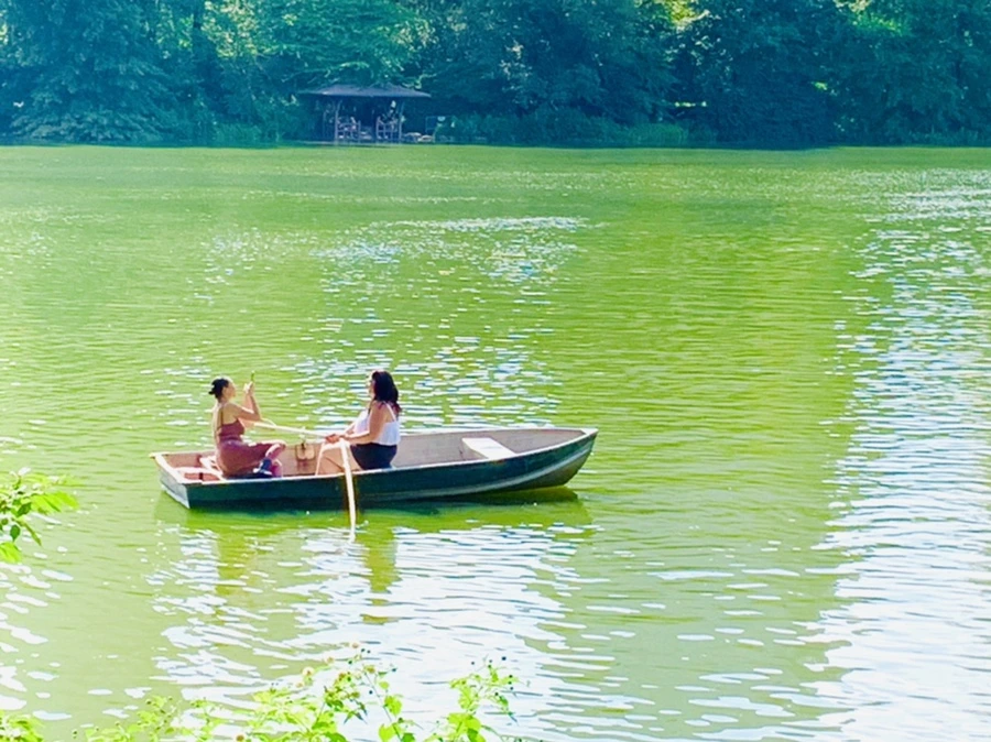 IMG_3475.jpg?type=w966