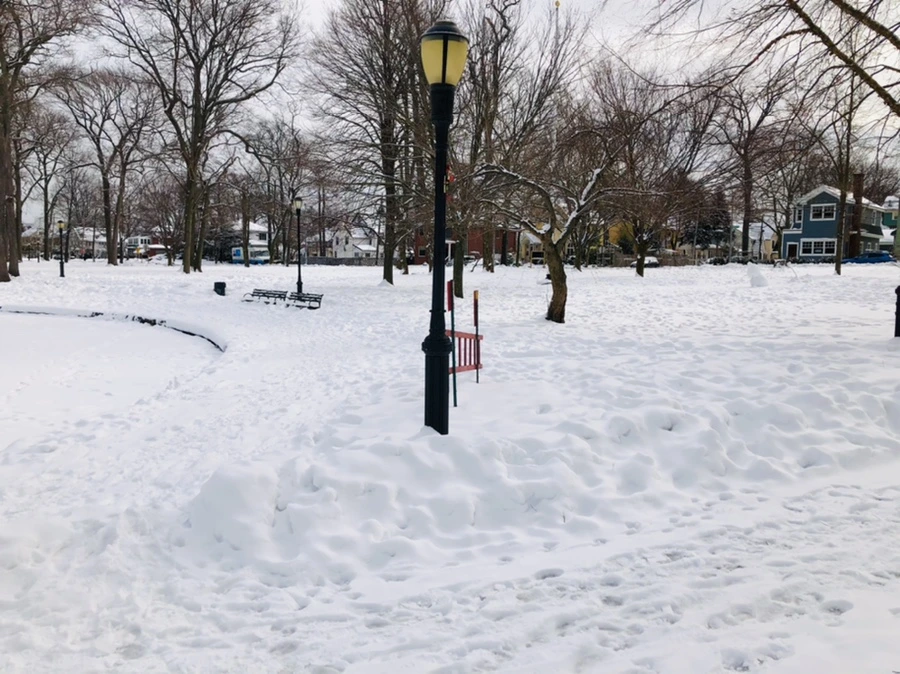 IMG_2148.jpg?type=w966