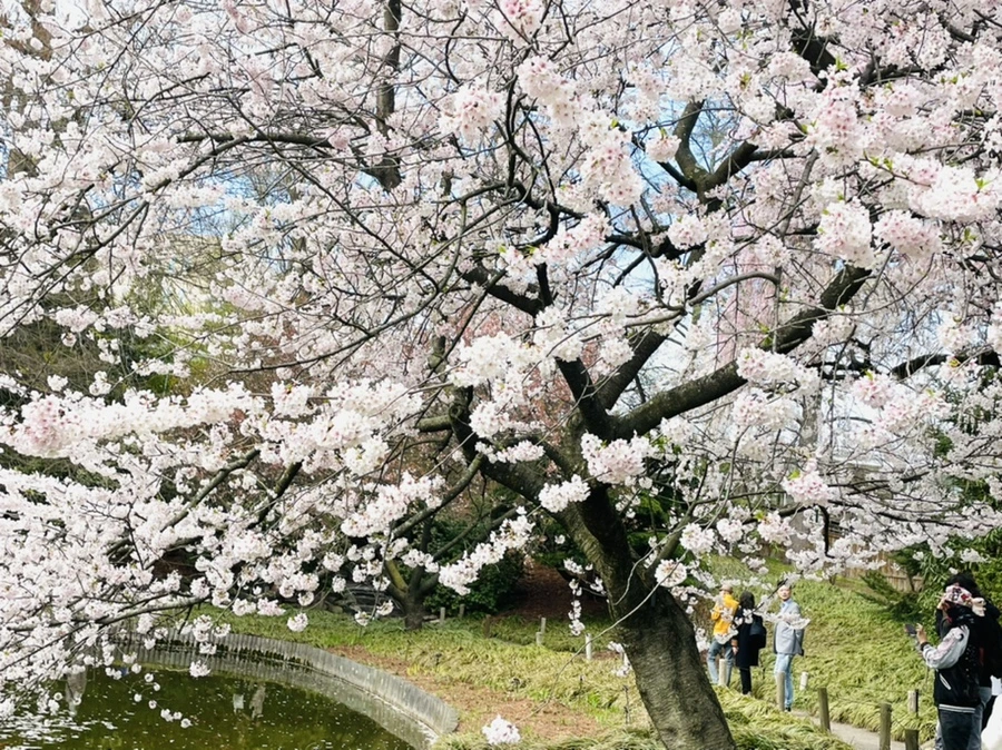 IMG_0459.jpg?type=w966