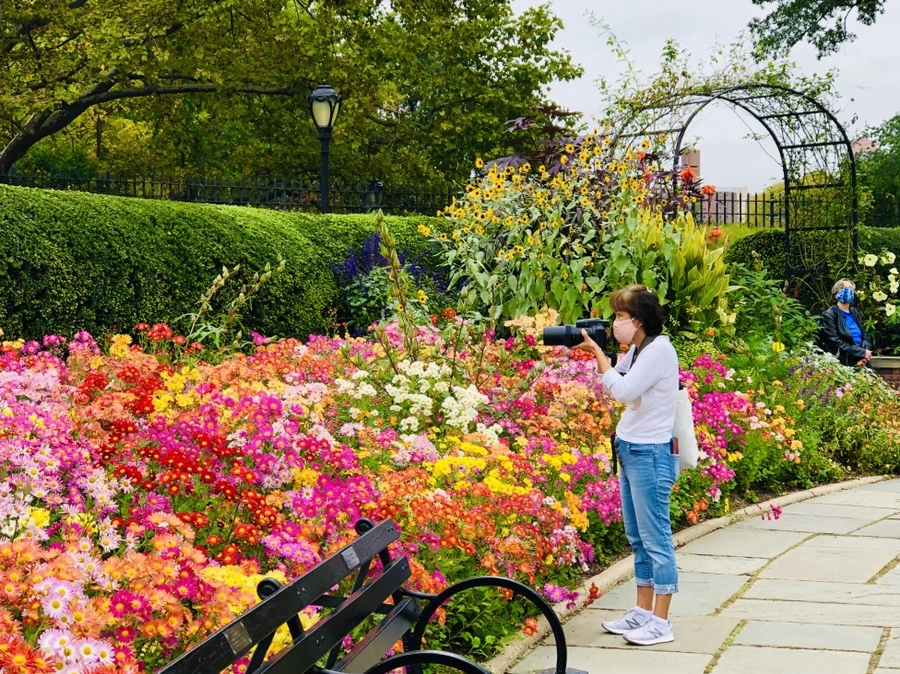 IMG_2461.jpg?type=w966