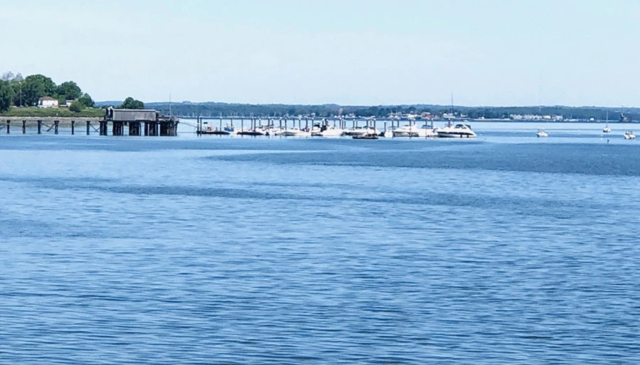 IMG_8554.jpg?type=w966