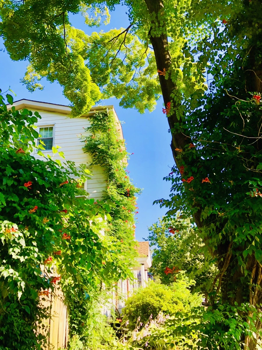 IMG_2770.jpg?type=w966