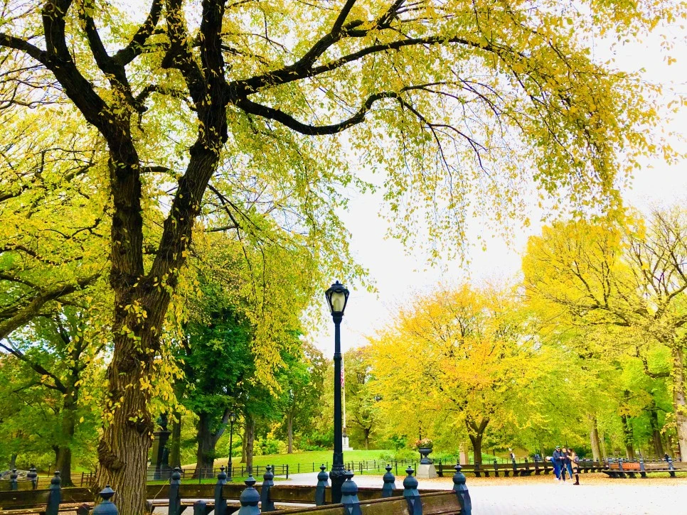 IMG_3019.jpg?type=w966