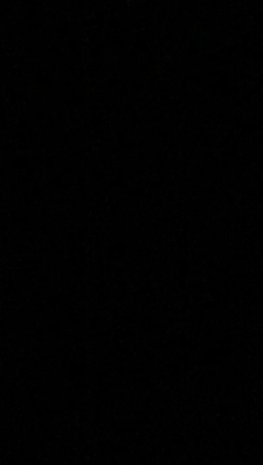 IMG_0155.jpg?type=w966