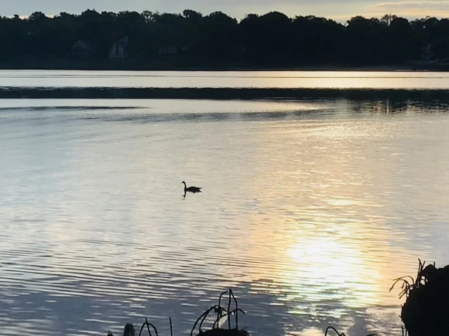 IMG_7736.jpg?type=w966