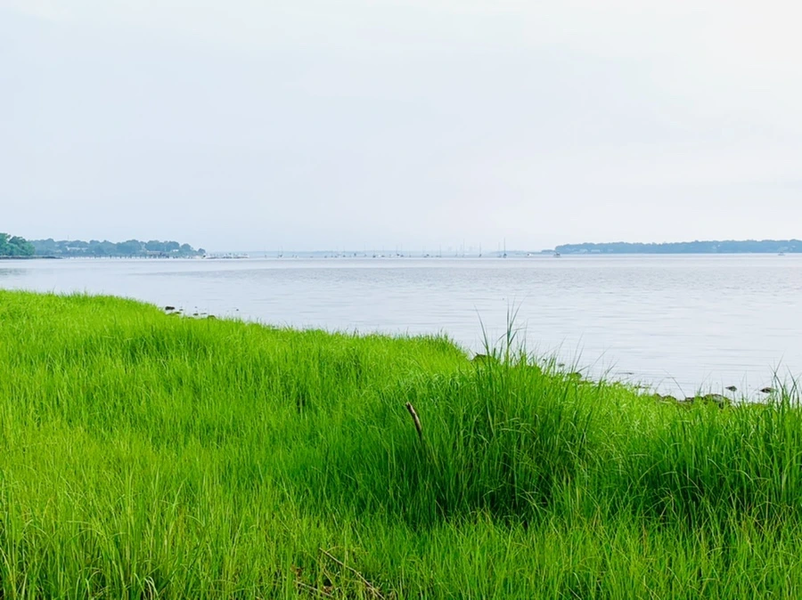 IMG_2246.jpg?type=w966