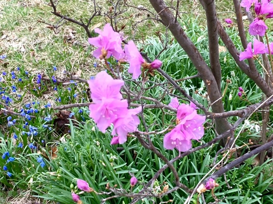 IMG_4759.jpg?type=w966