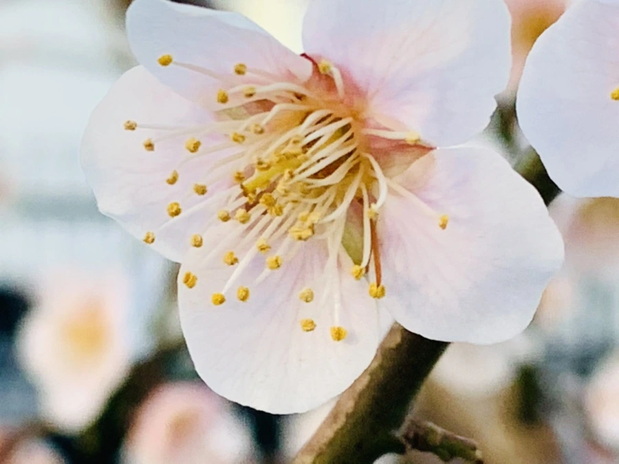 IMG_2293.jpg?type=w966