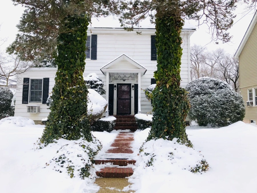 IMG_3550.jpg?type=w966