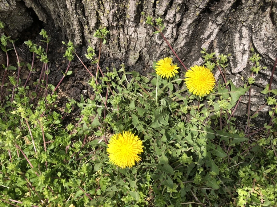 IMG_2829.jpg?type=w966