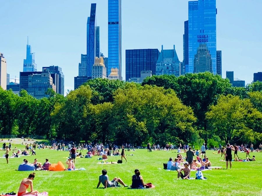 IMG_4402.jpg?type=w966