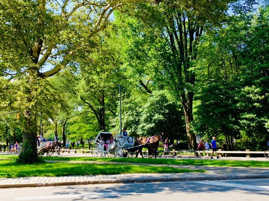 IMG_4521.jpg?type=w966