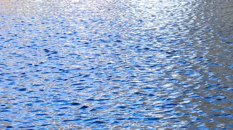 IMG_3896.jpg?type=w966