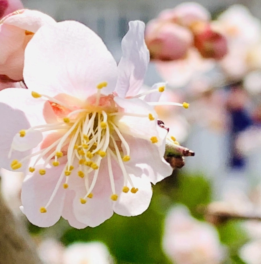 IMG_1050.jpg?type=w966