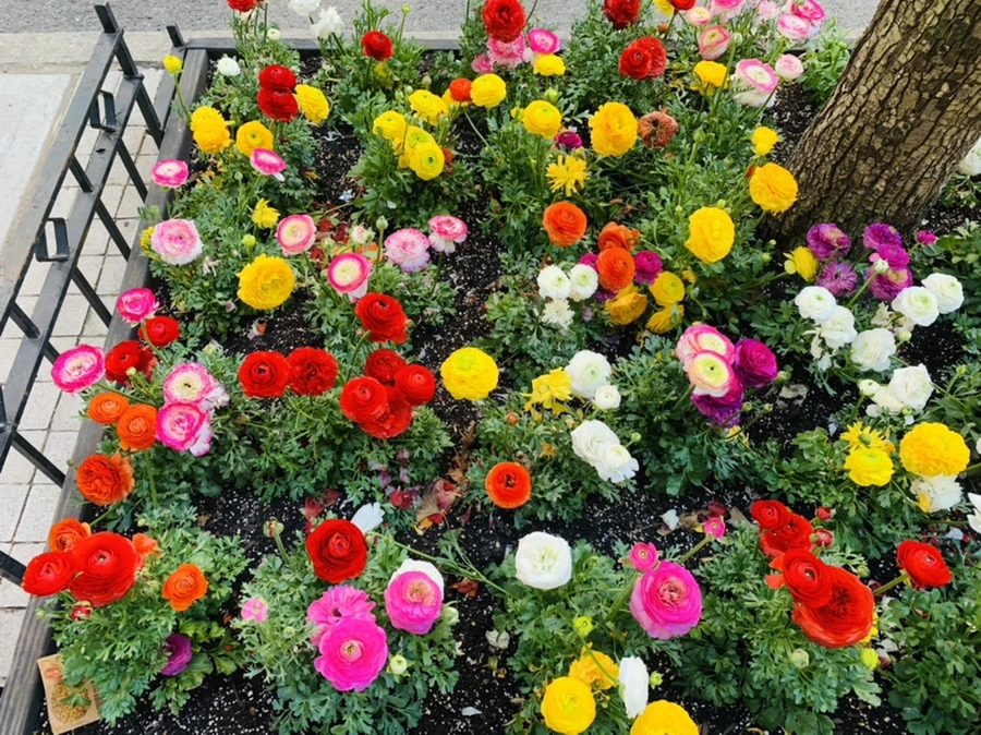 IMG_5411.jpg?type=w966