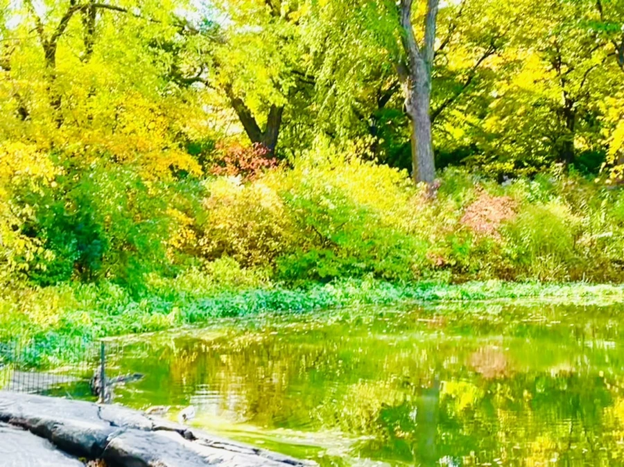 IMG_0277.jpg?type=w966